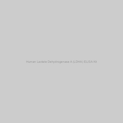 Human Lactate Dehydrogenase A (LDHA) ELISA Kit